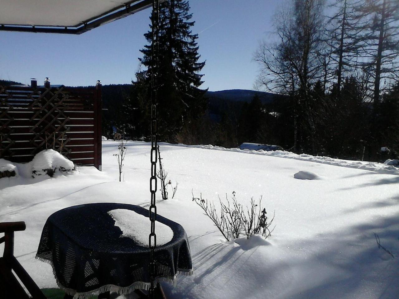 Sonnige-Waldruhe-Am-Skiberg Hotel Feldberg  Eksteriør billede